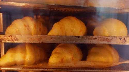 Delicious Croissants Rising in a Hot Oven