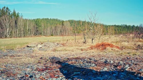 A Person Unloads Firewood From a Wheelbarrow - Close Up