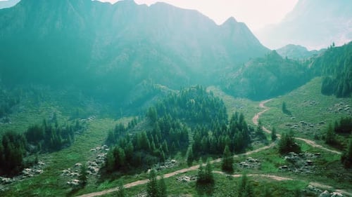 Winding Road in the Mountains with Pine Forest