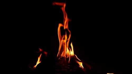 Feuer, das einen Artikel verbrennt, nach oben brennt, schwarzer Hintergrund
