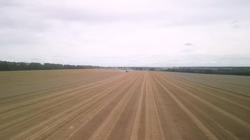 Wheat field aerial view in Ukraine