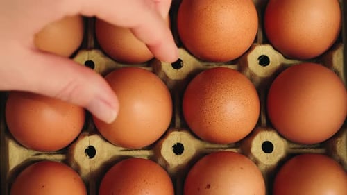 Farm Fresh Eggs in a Delicate Paper Tray Healthy Nutrition and Organic Food Concept