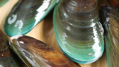 Thai Mussels in Metal on Table Top View