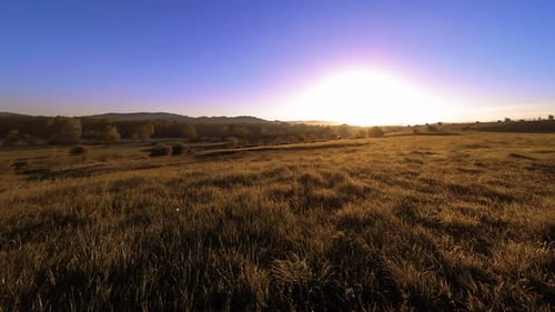 UHD Mountain Meadow Timelapse at the Summer Clouds Trees Green Grass and Sun Rays Movement
