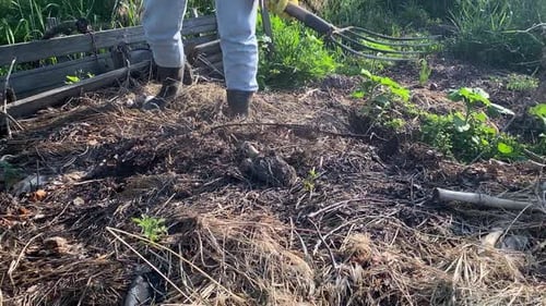 Sustainable Gardening Cultivating EcoFriendly Practices at Home
