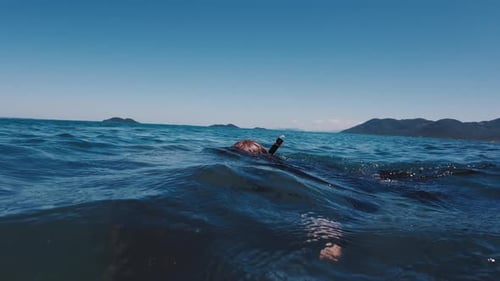 Man Underwater with Spearfishing Gun in Ocean