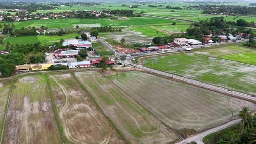Aerial drone view of green paddy fields and village