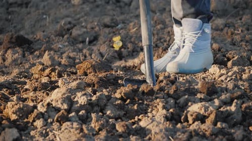 The Woman Farmer Digs a Vegetable Garden Only the Legs in Working Shoes are Visible in the Frame