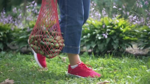 Verduras frescas y saludables disponibles en una cómoda bolsa de red ecológica para ir de compras