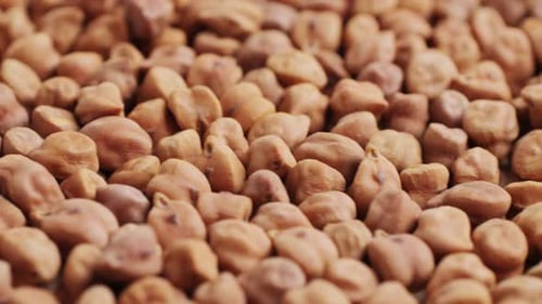 Chickpeas Macro Close Up Background of Uncooked Dried Chickpeas