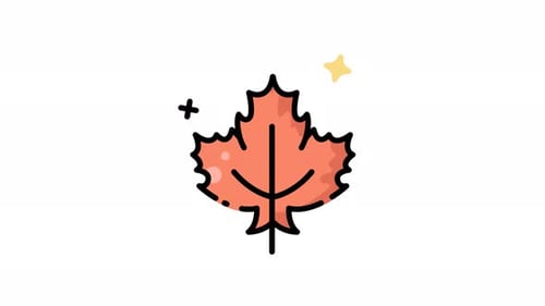 Autumn maple Leaf Animation icon video design, maple leaf motion graphic video design