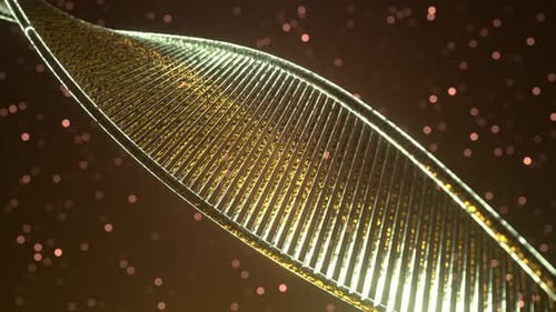 DNA chain. Genetics.