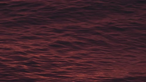 Glare on the Surface of the Water Golden Sunset Glimmers on the Ocean s Surface Creating a