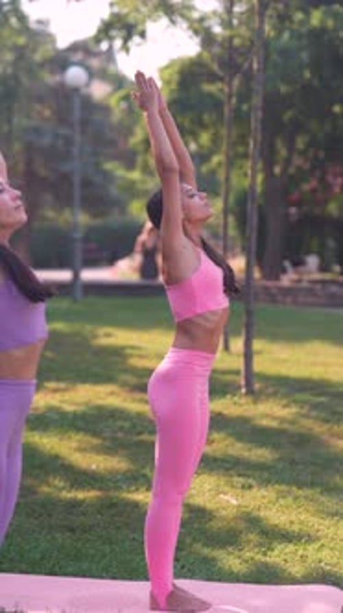 Engaging in Yoga Practice a Stunning and Athletic Mom and Her Grown Daughter are in the Urban Park