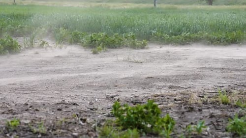Strong Winds Blow Dust Across A Dirt Road
