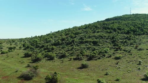 Drone aérien d'une colline avec un mât radio au sommet du feuillage vert