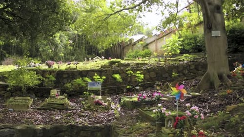 colombia san gil old cemetery flowers over cemetery flowers over graveyards natural cemetery south a
