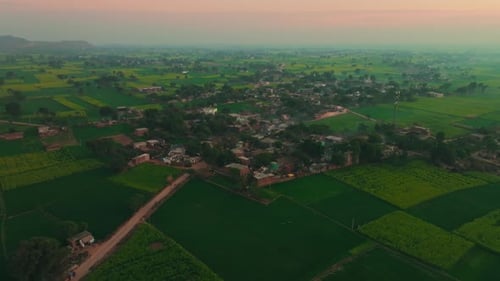Aerial view of green fields and a village, India.