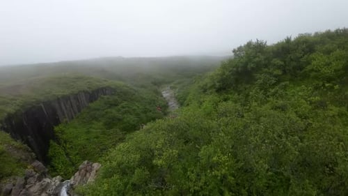 Svartifoss Waterfall Falling From Over The Basalt Rocks, Iceland