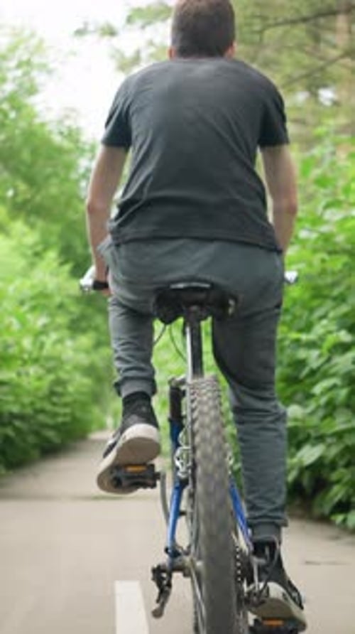 Young Boy Cycling Along Scenic Paved Path Surrounded By Lush Greenery