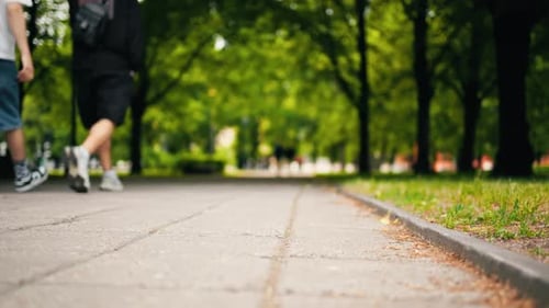 Genießen Sie ein gemütliches Joggen im Park, umgeben von viel Grün und ruhiger Natur, perfekt zum Entspannen