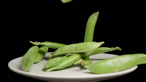 Green Pea Pods falling onto a rotating plate on a black background.