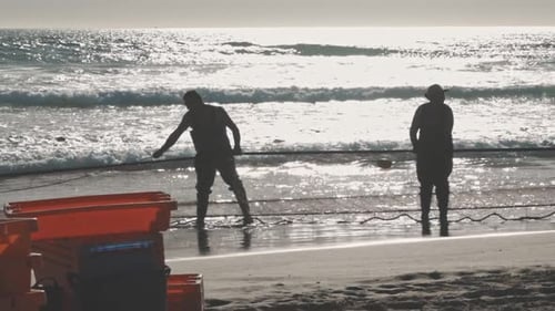Men Working with a Fishing Net on the Seashore