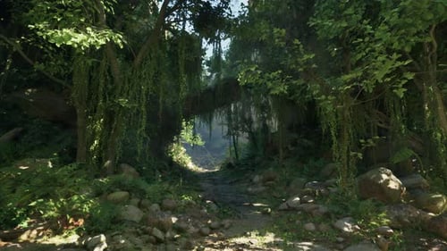 A Scenic Dirt Road Winding Through the Breathtaking Landscapes of New Zealand