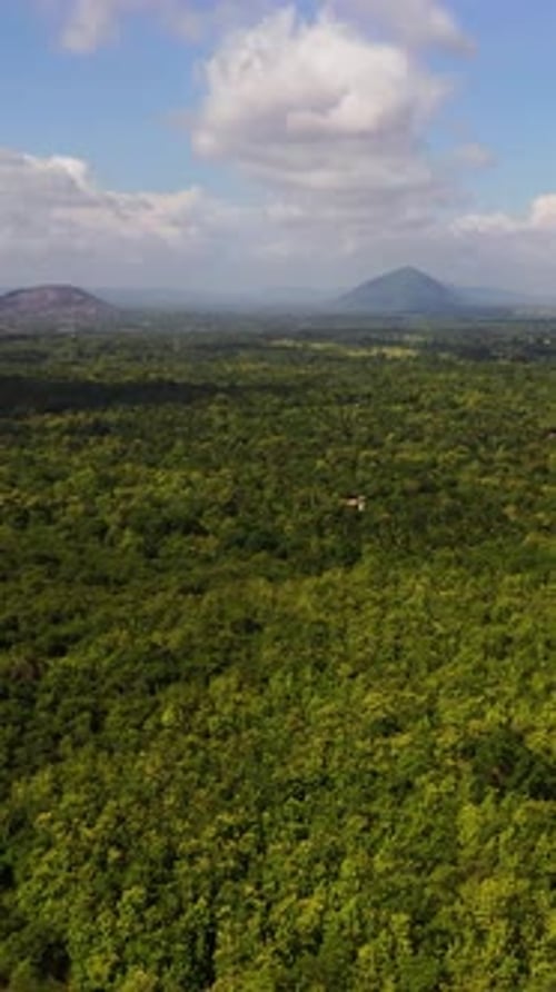 Aerial View of Jungle and Mountains in Sri Lanka