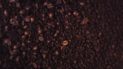 Kaffeebohnen, Superzeitlupe, von oben nach unten fallende Aufnahme. Hochgeschwindigkeitskaffeebohnen fliegen