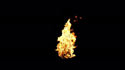 Realistic Burning Fire Flame VFX Element with Alpha Channel