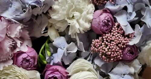 Close Up Shot of Colorful Flowers Arranged Together