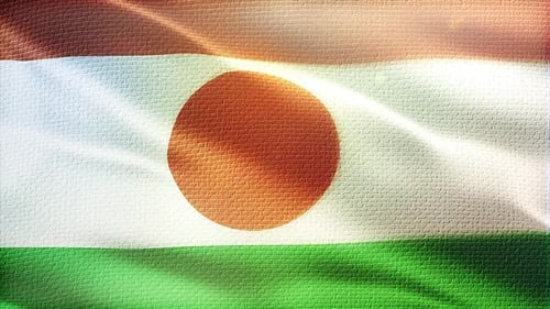 Waving Flag of Niger Nation Country Symbol Loop