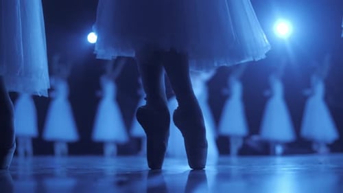 Ballerinas Perform Ballet Dance Routine on Stage
