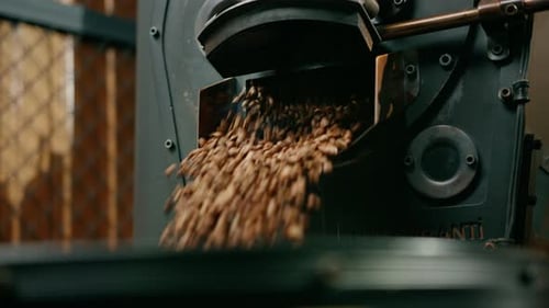 Coffee production is the process of roasting fresh coffee beans coffee beans are poured into