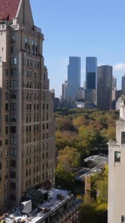 Vertical drone shot over buildings and the Central park, fall day in New York
