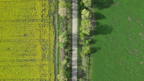 Vista de drone da estrada entre o prado