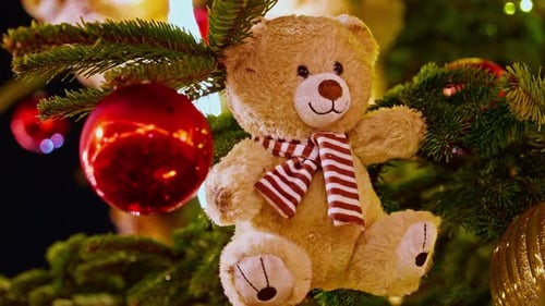 Teddy Bear Ornament Closeup Teddy Bear Ornament on Christmas Tree Christmas Mood Christmas Tree is