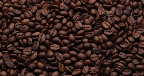 Roasted Coffee Beans Macro Close Up