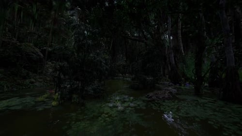 Cryptic Marsh Filled with Floating Lily Pads and Thick Trees