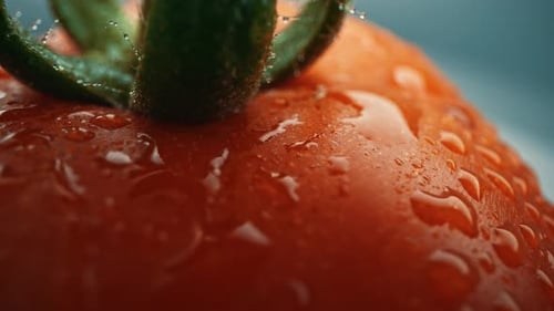 Fresh Tomato with Water Droplets in Macro Shot