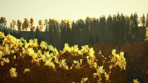 Vue magnifique sur les montagnes qui brillent sous le soleil