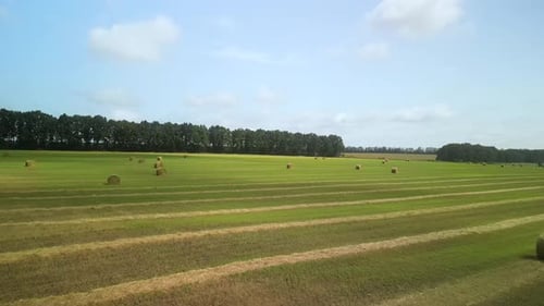 Round Hay Bales on the Green Field