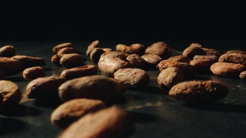 Kakaobohnen Makro gerösteter Kakao oder fallende Kakaobohnen in Zeitlupe, Nahaufnahme, Schokoladenherstellung