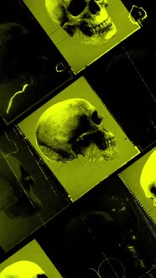 Old Film Skull Archive Clip 3