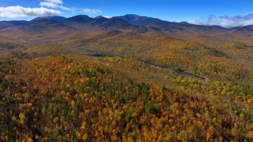 Captivating panorama of a vast forest covering the mountainous landscape. High mountains at backdrop