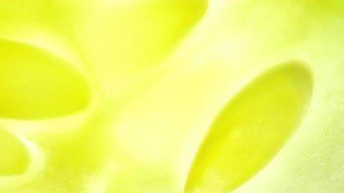 Schöne Gurke im Makrovideo. 4K