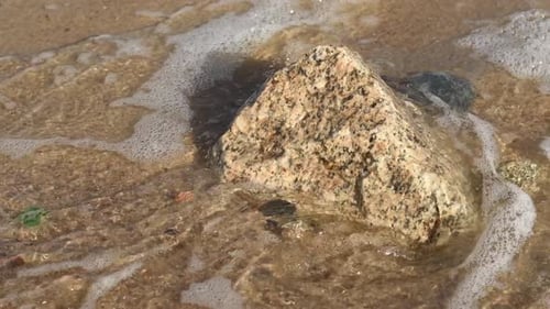 Sea rock on a sandy beach