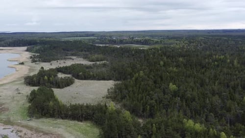 Flying over forest and seashore on an overcast day