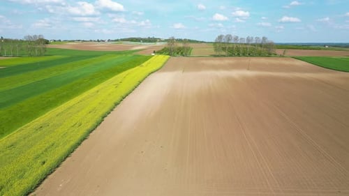 Aerial view of rapeseed fields in Aljmas, Osijek-Baranja, Croatia.